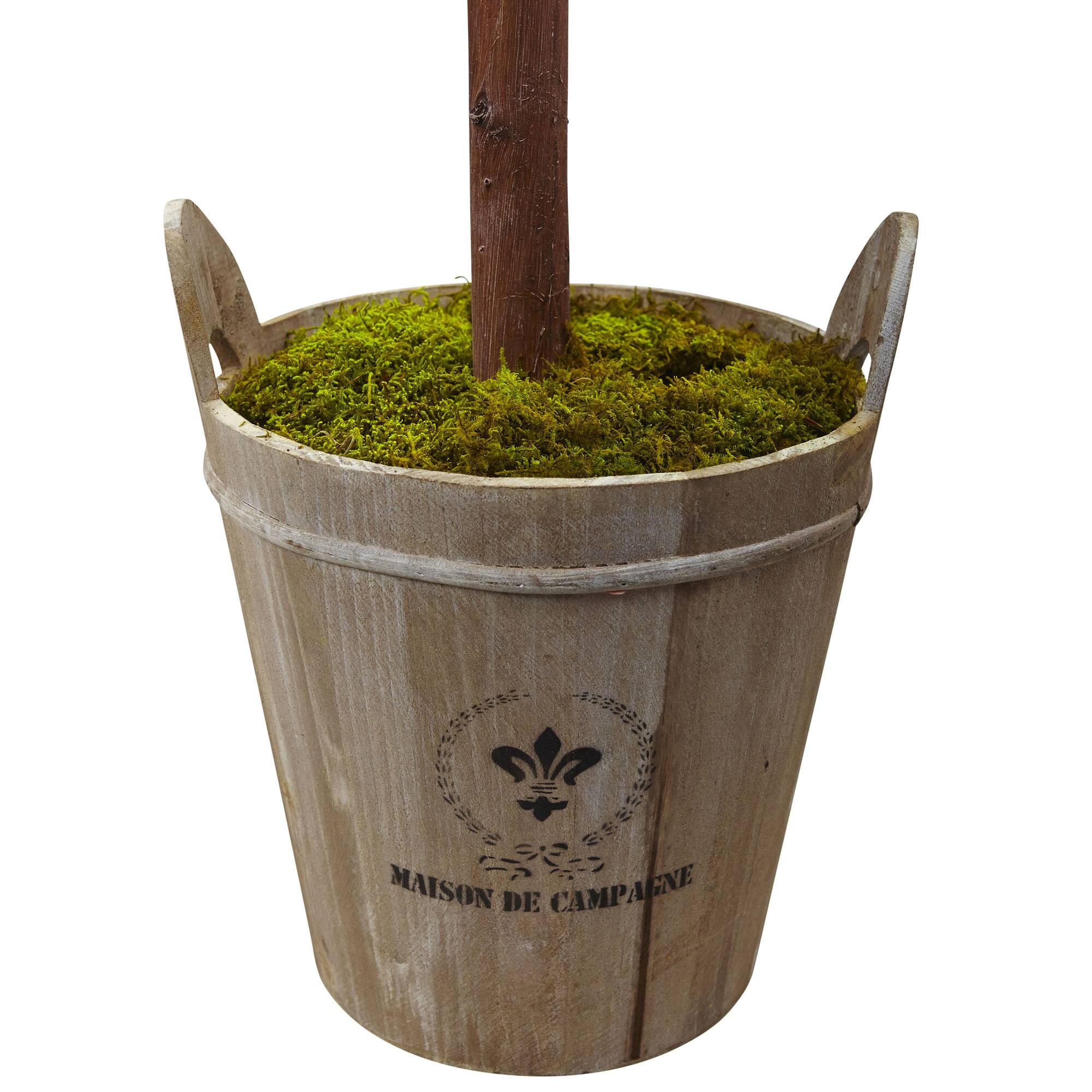 4.5ft. Olive Topiary Tree with Farmhouse Barrel Planter